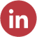 LinkedIn Icon