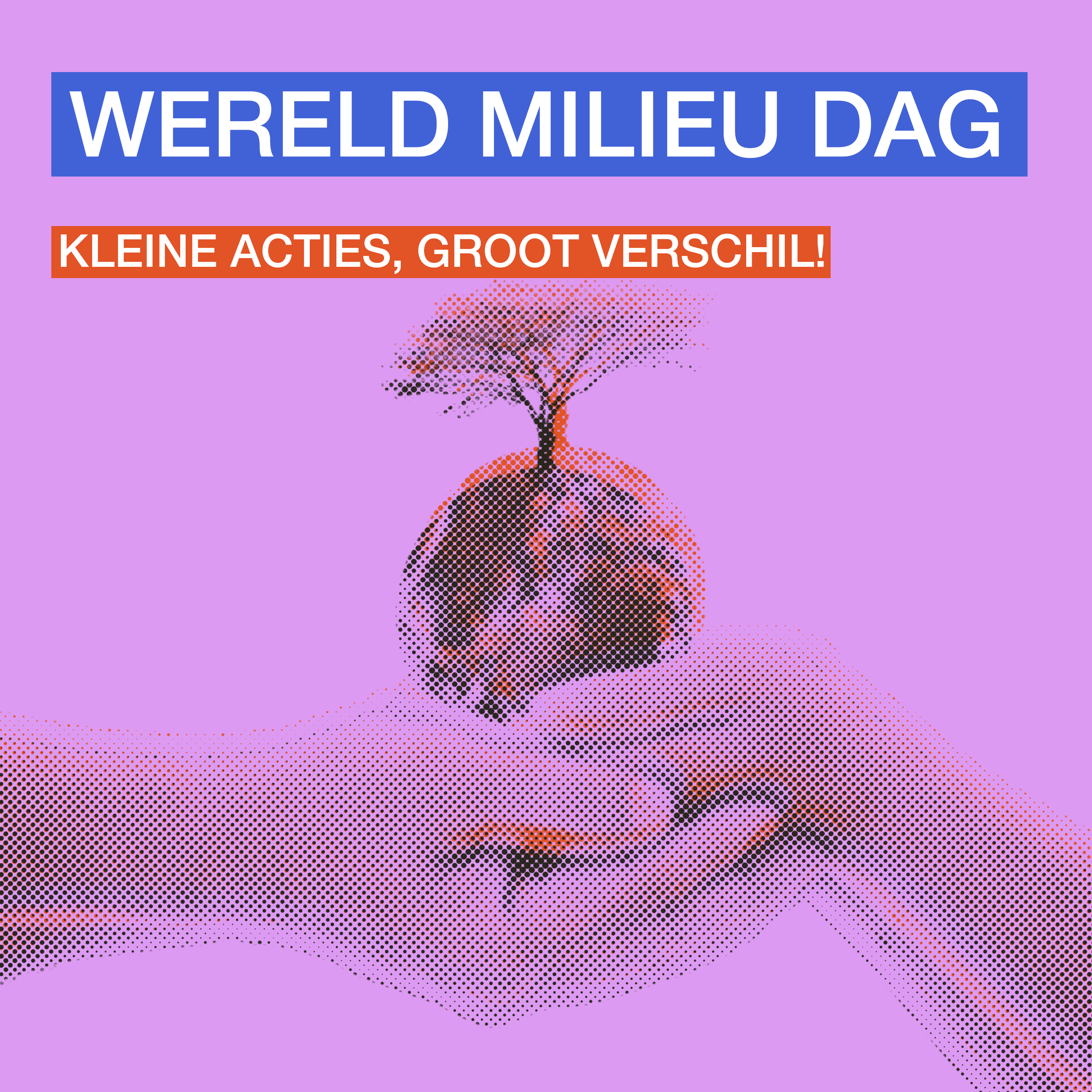 Social content voorbeeld 2